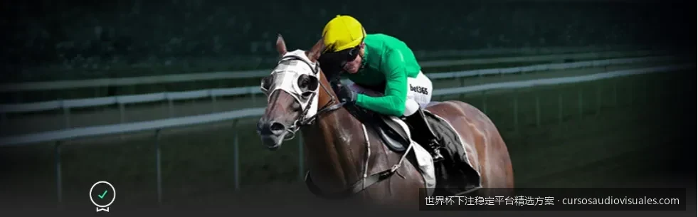 2026美加墨世界杯下注稳定平台精选方案：如何避开资金陷阱